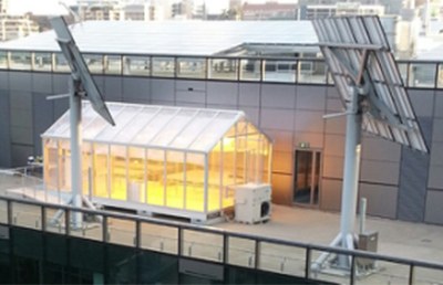 電動開窗器在智能溫室上的應(yīng)用-澳大利亞某客戶